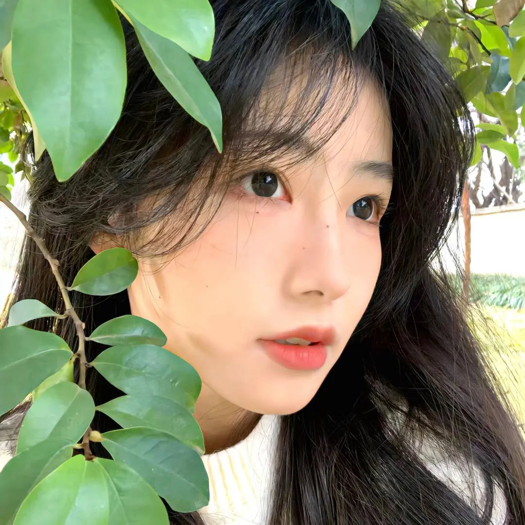 首尔告别